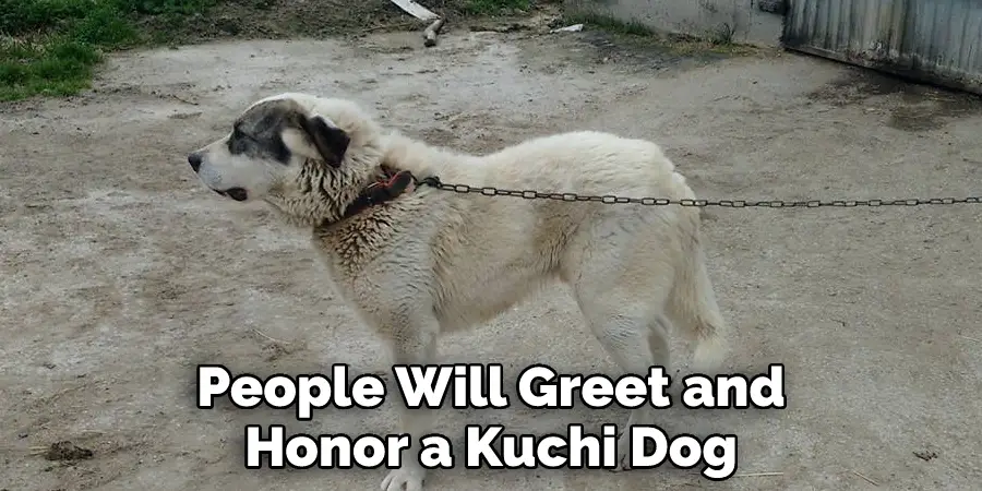 People Will Greet and Honor a Kuchi Dog