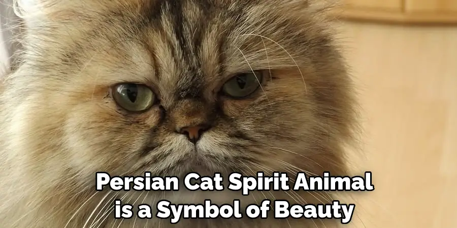  Persian Cat Spirit Animal is a Symbol of Beauty