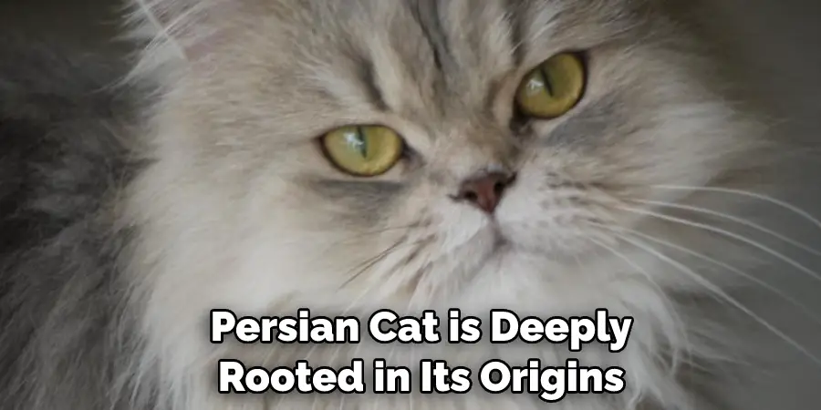  Persian Cat is Deeply Rooted in Its Origins