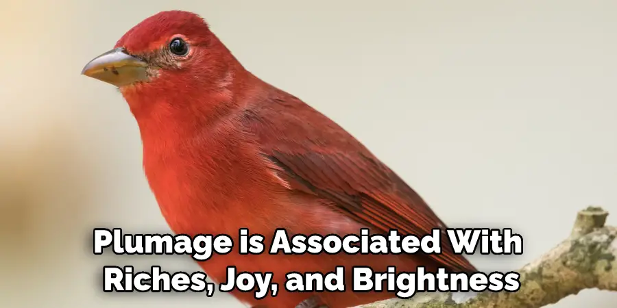 plumage is associated with riches, joy, and brightness