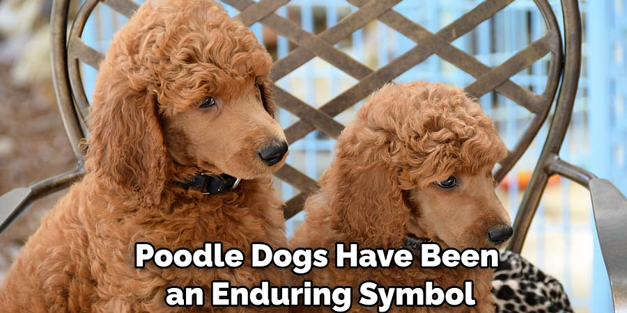 Poodle Dogs Have Been an Enduring Symbol