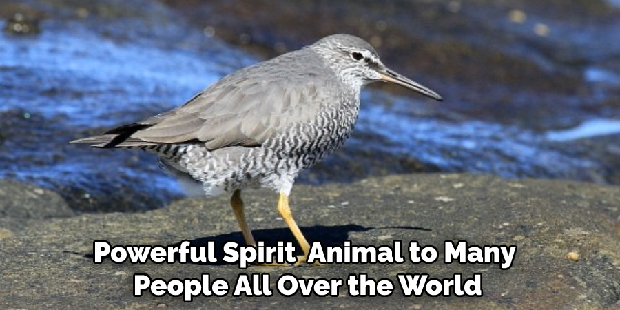 Powerful Spirit  Animal to Many
 People All Over the World