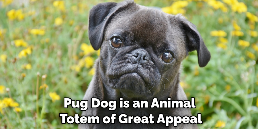 Pug Dog is an Animal Totem of Great Appeal