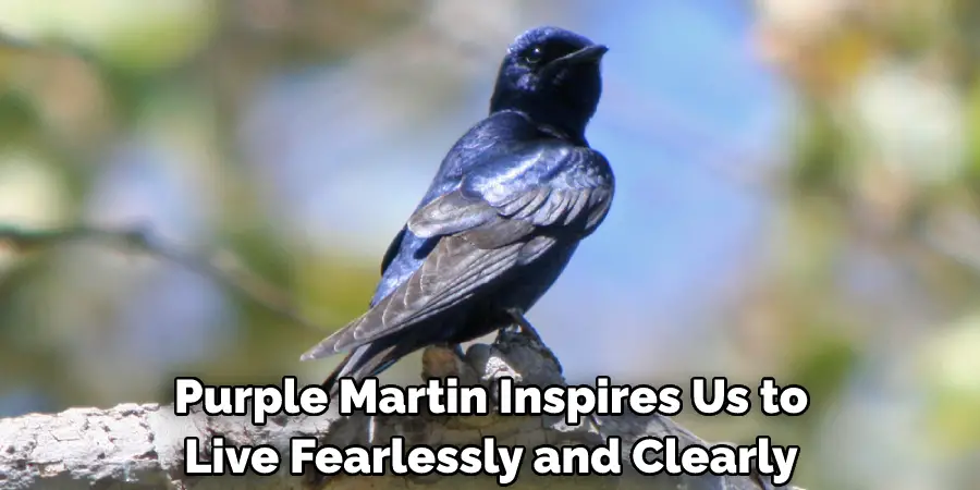  Purple Martin Inspires Us to Live Fearlessly and Clearly