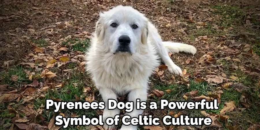 Pyrenees Dog is a Powerful Symbol of Celtic Culture
