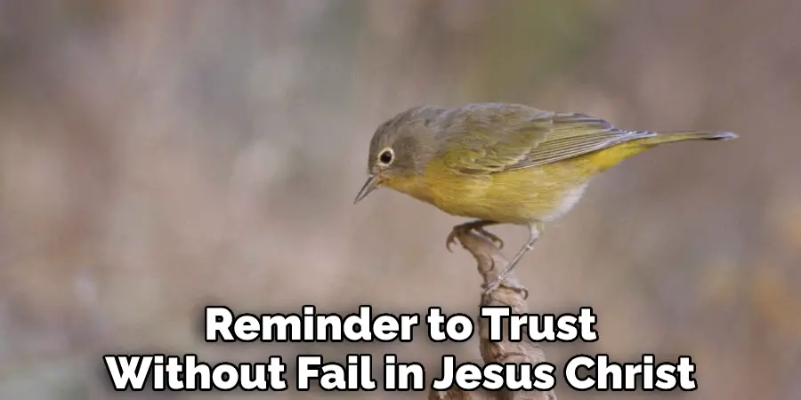 Reminder to Trust Without Fail in Jesus Christ