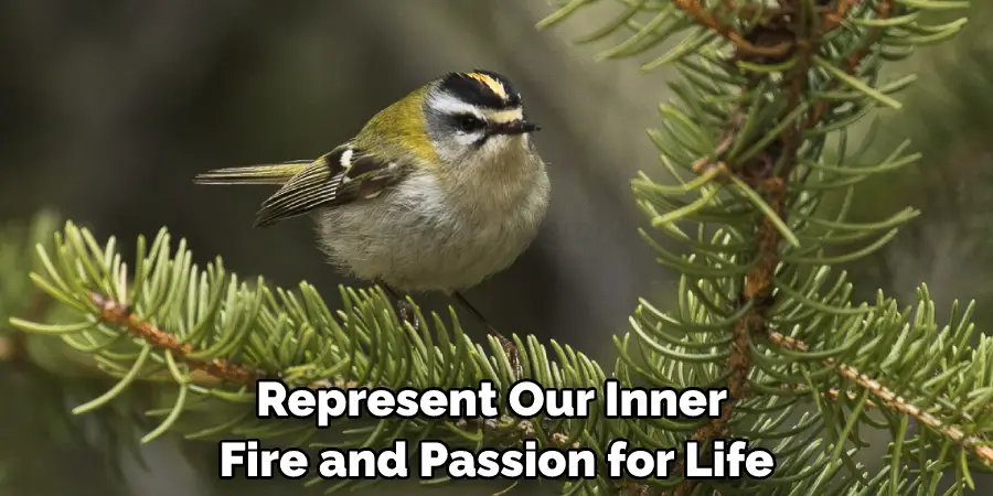 Represent Our Inner Fire and Passion for Life