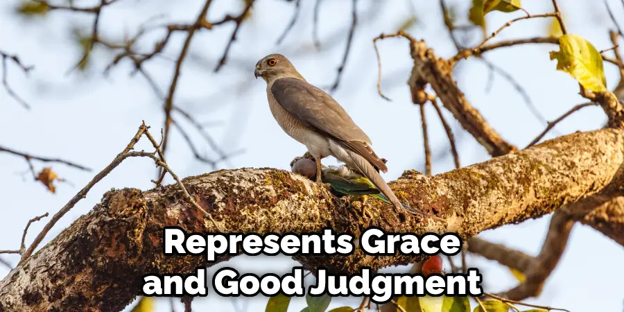 Represents Grace and Good Judgment