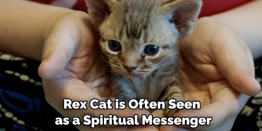 Rex Cat is Often Seen as a Spiritual Messenger