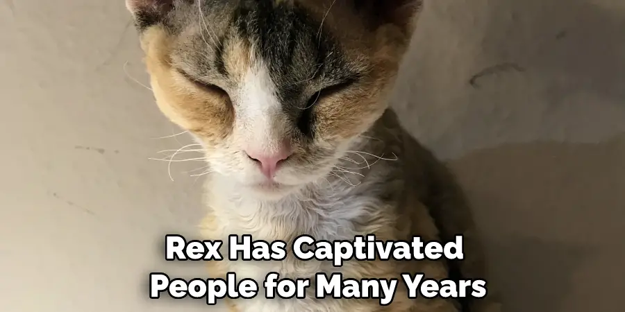 Rex Has Captivated People for Many Years