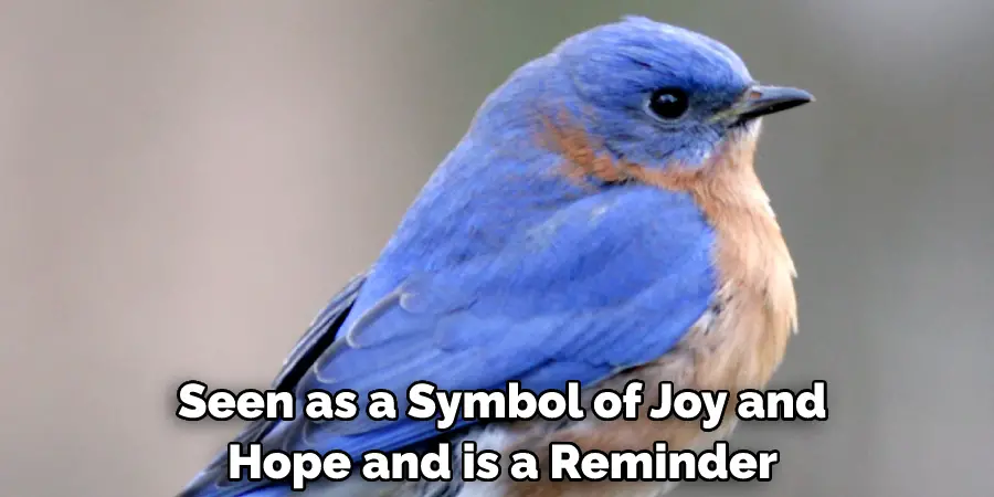  Seen as a Symbol of Joy and Hope and is a Reminder