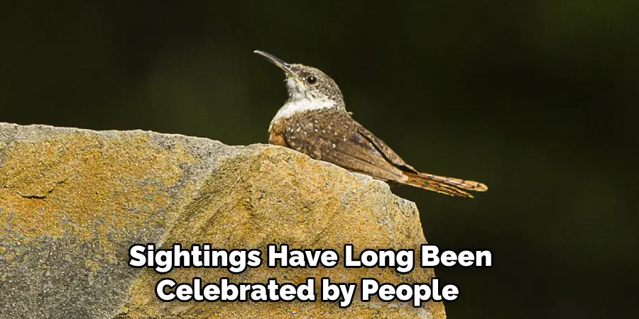  Sightings Have Long Been Celebrated by People