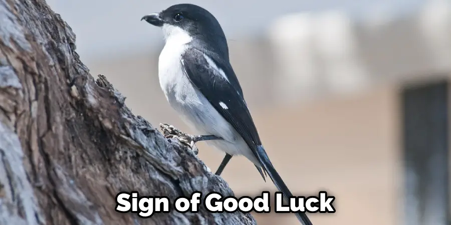 Sign of Good Luck