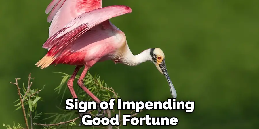 Sign of Impending Good Fortune