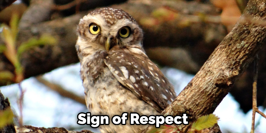 Sign of Respect