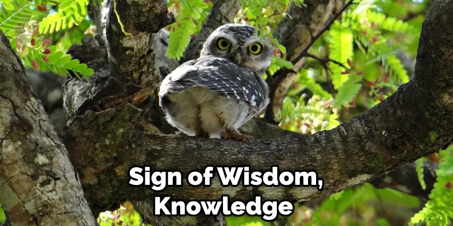  Sign of Wisdom, Knowledge