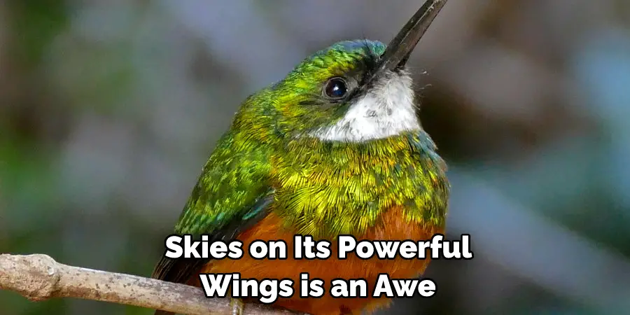  Skies on Its Powerful Wings is an Awe