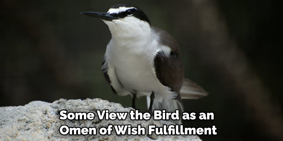 Some View the Bird as an Omen of Wish Fulfillment