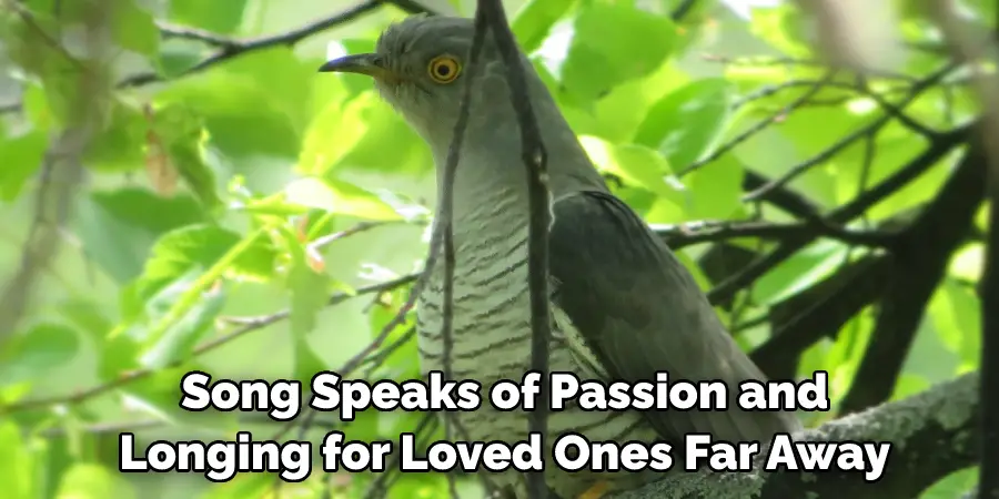  Song Speaks of Passion and Longing for Loved Ones Far Away