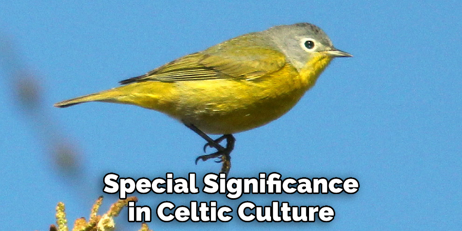 Special Significance in Celtic Culture