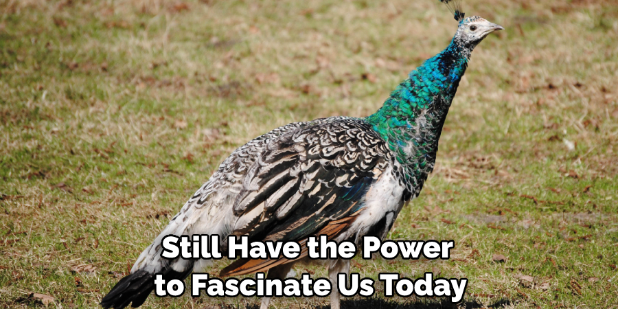 Still Have the Power to Fascinate Us Today
