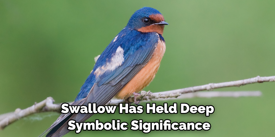 Swallow Has Held Deep Symbolic Significance