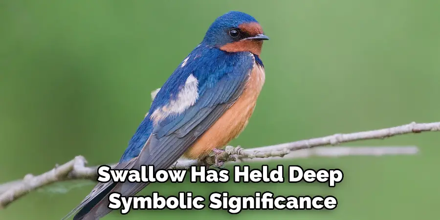 Swallow Has Held Deep Symbolic Significance