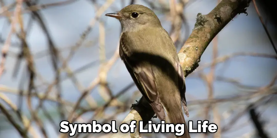 Symbol of Living Life