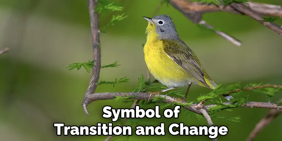 Symbol of Transition and Change