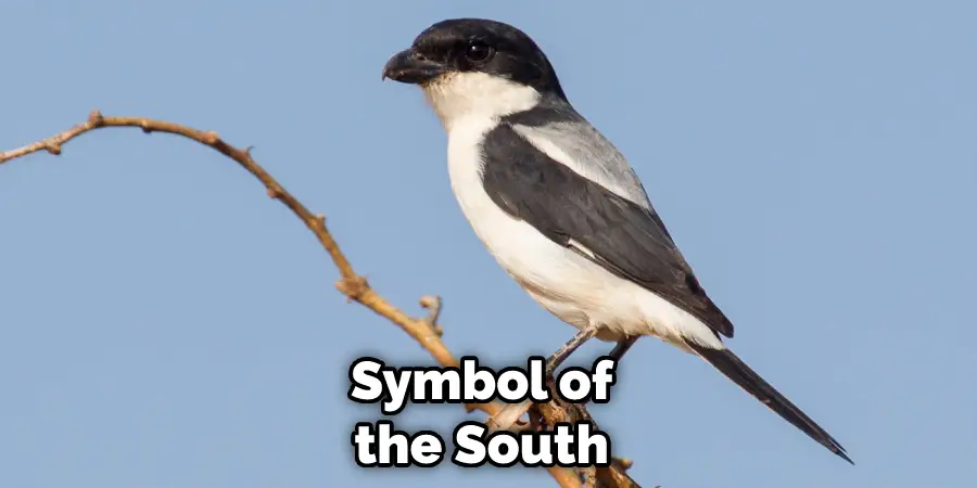 Symbol of the South