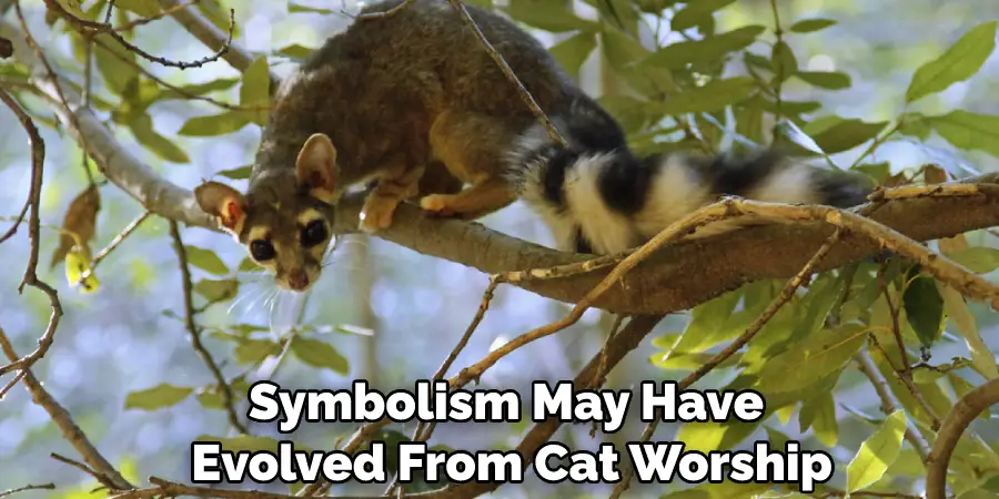 Symbolism May Have Evolved From Cat Worship