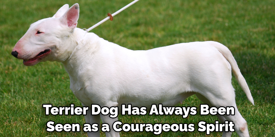 Terrier Dog Has Always Been Seen as a Courageous Spirit