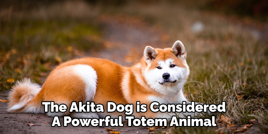 The Akita Dog is Considered A Powerful Totem Animal