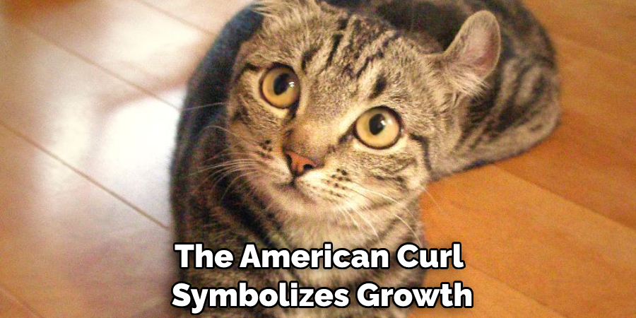 The American Curl Symbolizes Growth
