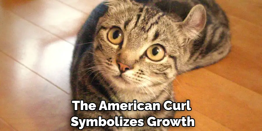 The American Curl Symbolizes Growth