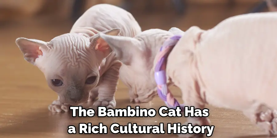 The Bambino Cat Has a Rich Cultural History
