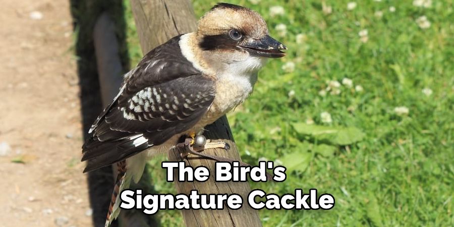The Bird's Signature Cackle