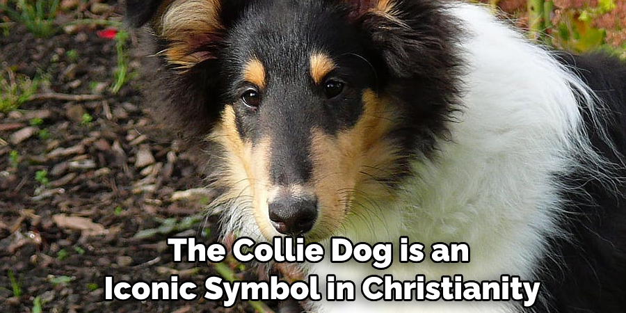 The Collie Dog is an Iconic Symbol in Christianity
