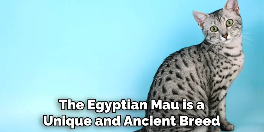 The Egyptian Mau is a
Unique and Ancient Breed