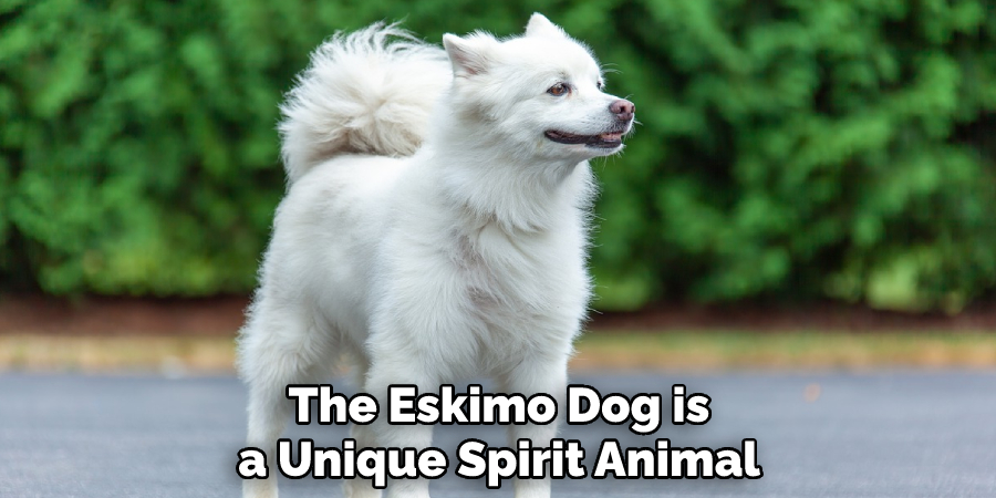 The Eskimo Dog is a Unique Spirit Animal
