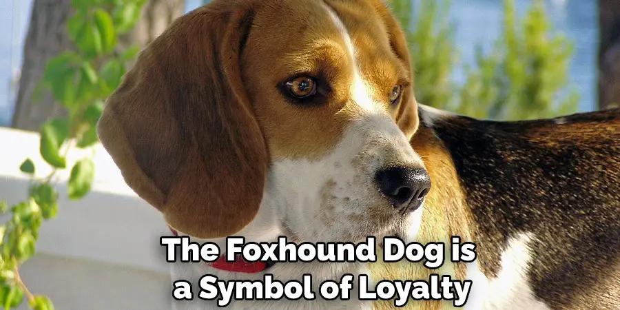 The Foxhound Dog is a Symbol of Loyalty