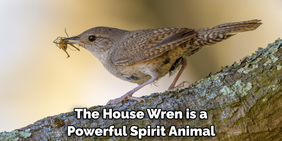 The House Wren is a Powerful Spirit Animal 