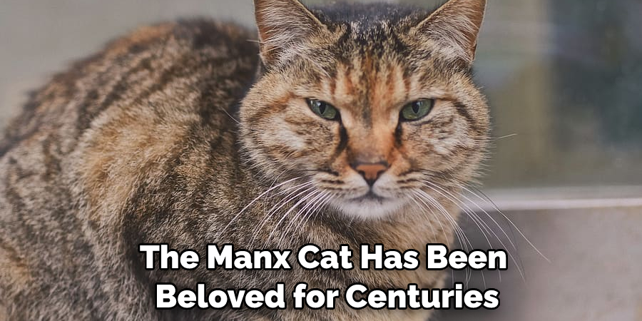 The Manx Cat Has Been Beloved for Centuries