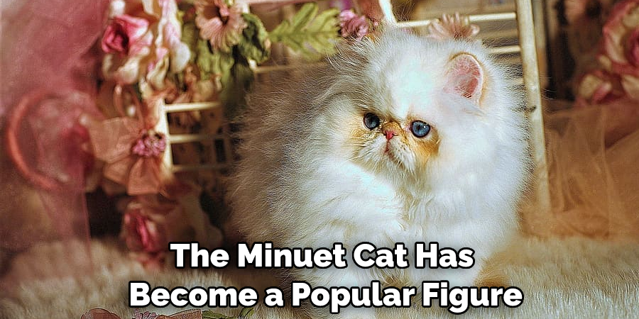 The Minuet Cat Has Become a Popular Figure