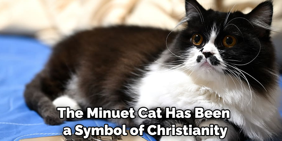 The Minuet Cat Has Been a Symbol of Christianity