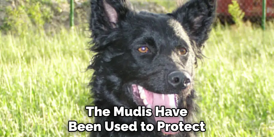The Mudis Have
Been Used to Protect