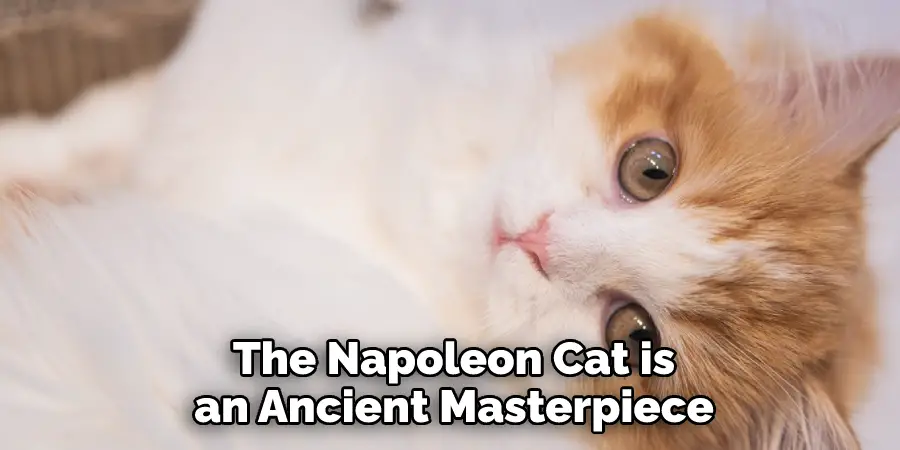 The Napoleon Cat is an Ancient Masterpiece