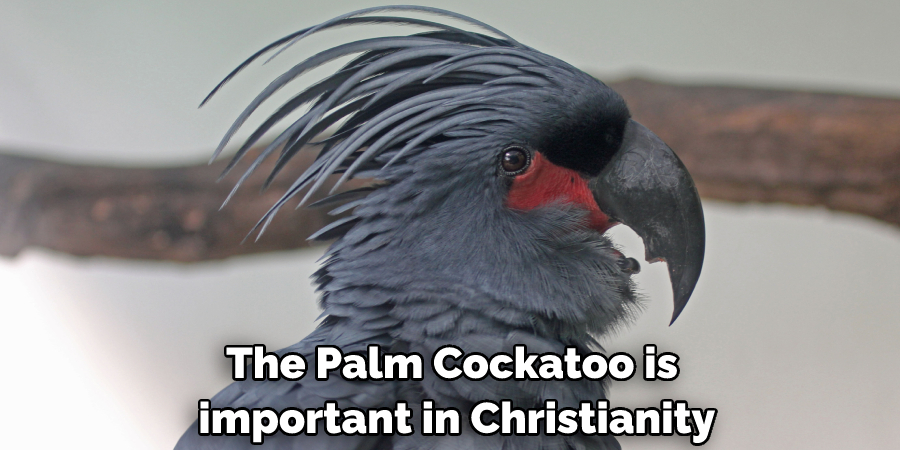 The Palm Cockatoo is important in Christianity