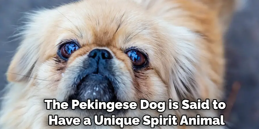 The Pekingese Dog is Said to Have a Unique Spirit Animal