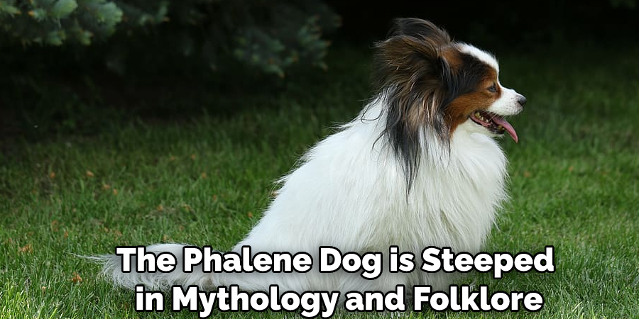 The Phalene Dog is Steeped in Mythology and Folklore